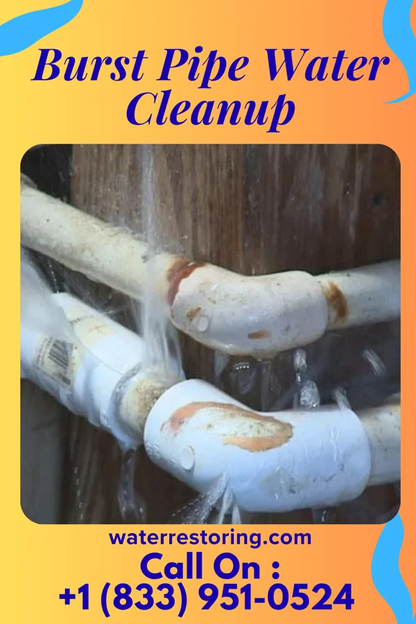 Burst Pipe Water Cleanup in Clarksburg, OH