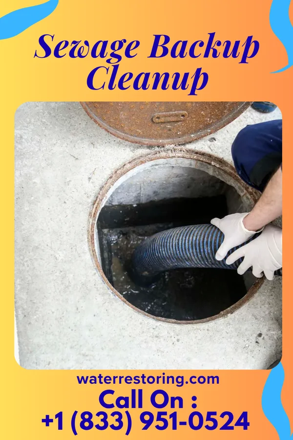 Sewage Backup Cleanup in Clarksburg, OH