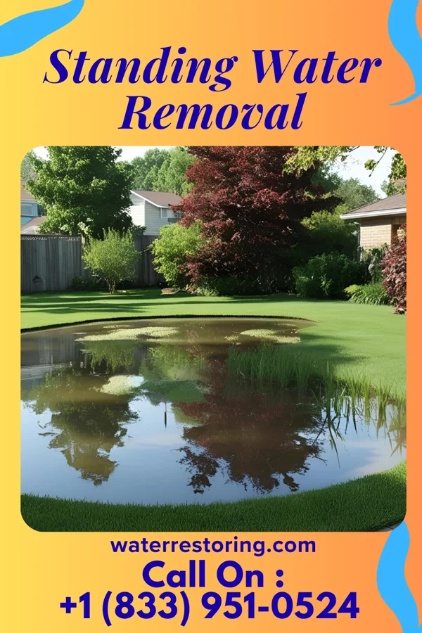 Standing Water Removal in Clarksburg, OH